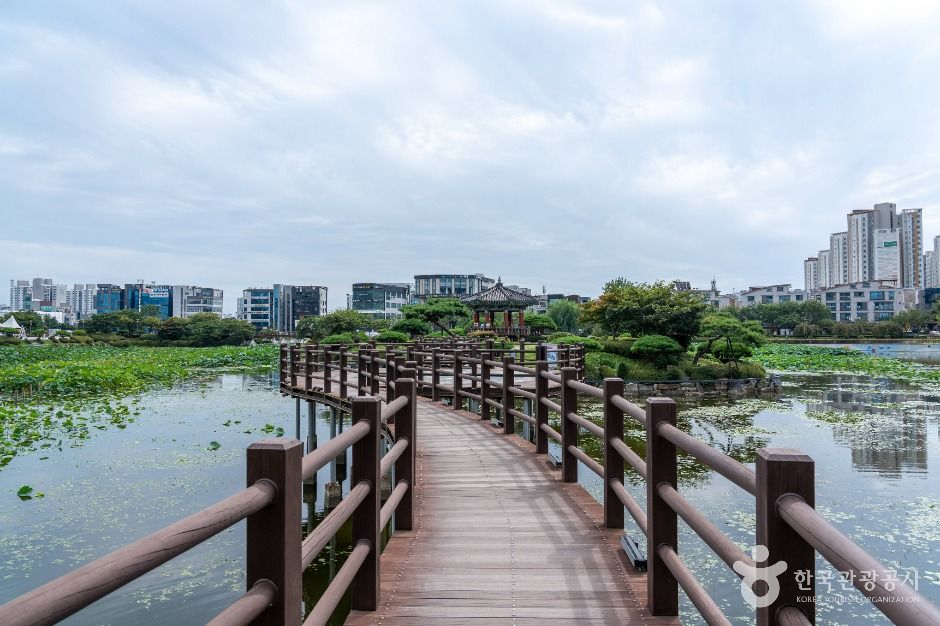 중앙호수공원(서산) 여행 추천 - 메고지고 중앙호수공원(서산) 여행 추천 - 메고지고