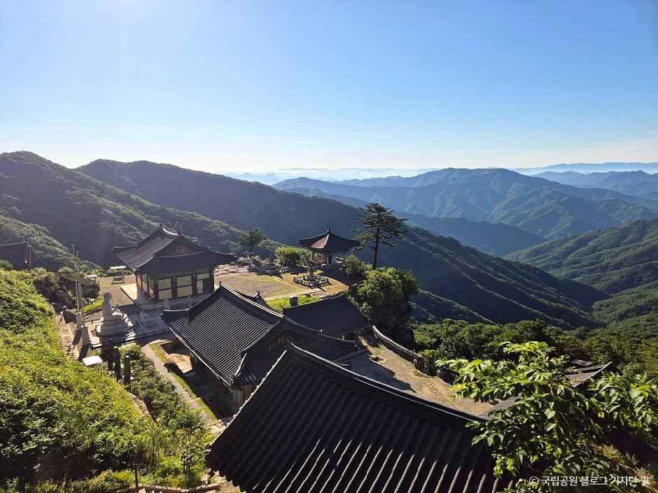치악산국립공원 여행 추천 - 메고지고 치악산국립공원 여행 추천 - 메고지고