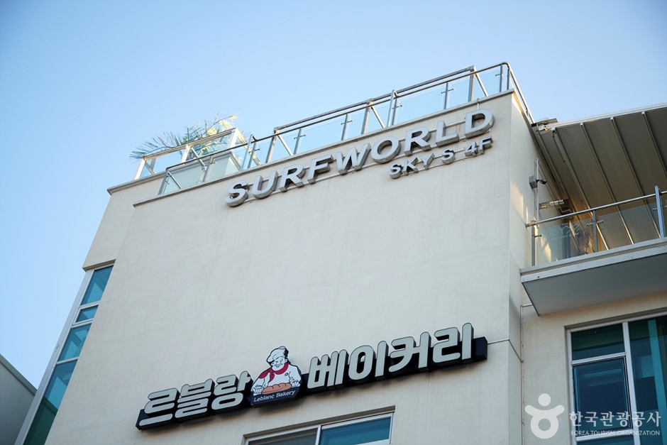 서프월드 여행 추천 - 메고지고 서프월드 여행 추천 - 메고지고