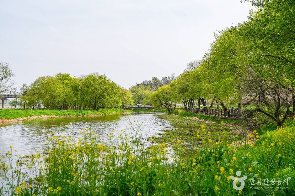 금장대 수변공원 여행 추천 - 메고지고 금장대 수변공원 여행 추천 - 메고지고
