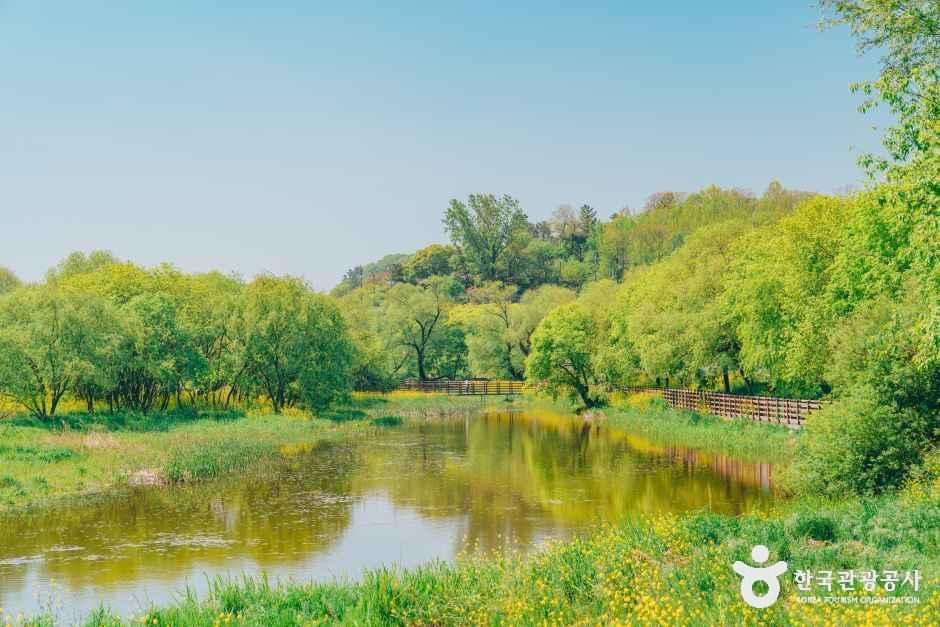 금장대 수변공원 여행 추천 - 메고지고 금장대 수변공원 여행 추천 - 메고지고