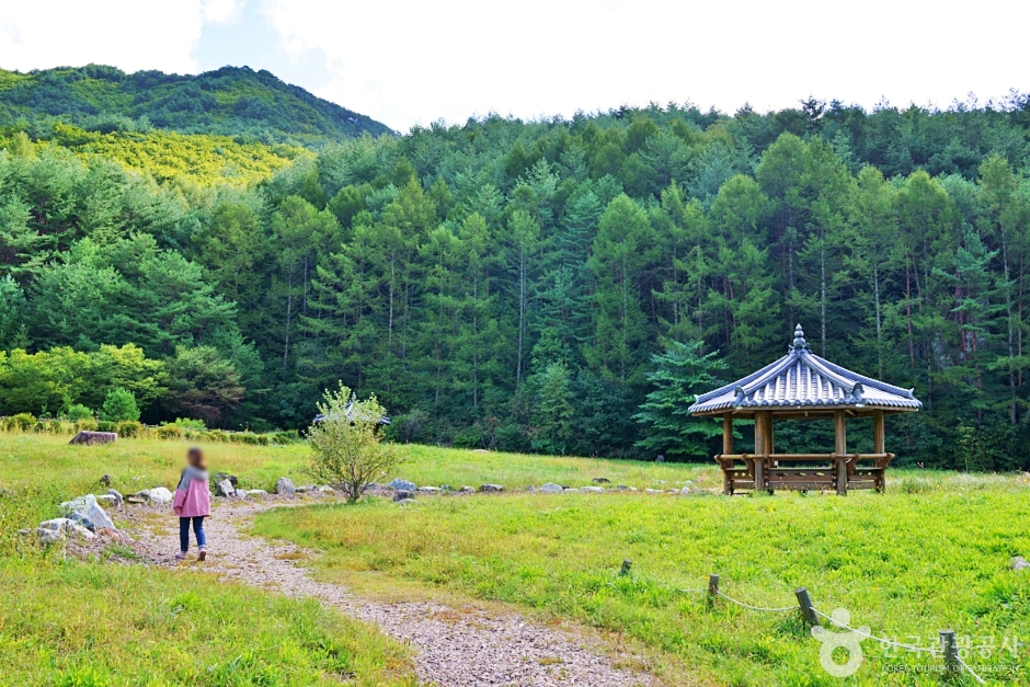 일월산 자생화공원 여행 추천 - 메고지고
