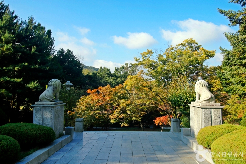 보문산 여행 추천 - 메고지고 보문산 여행 추천 - 메고지고