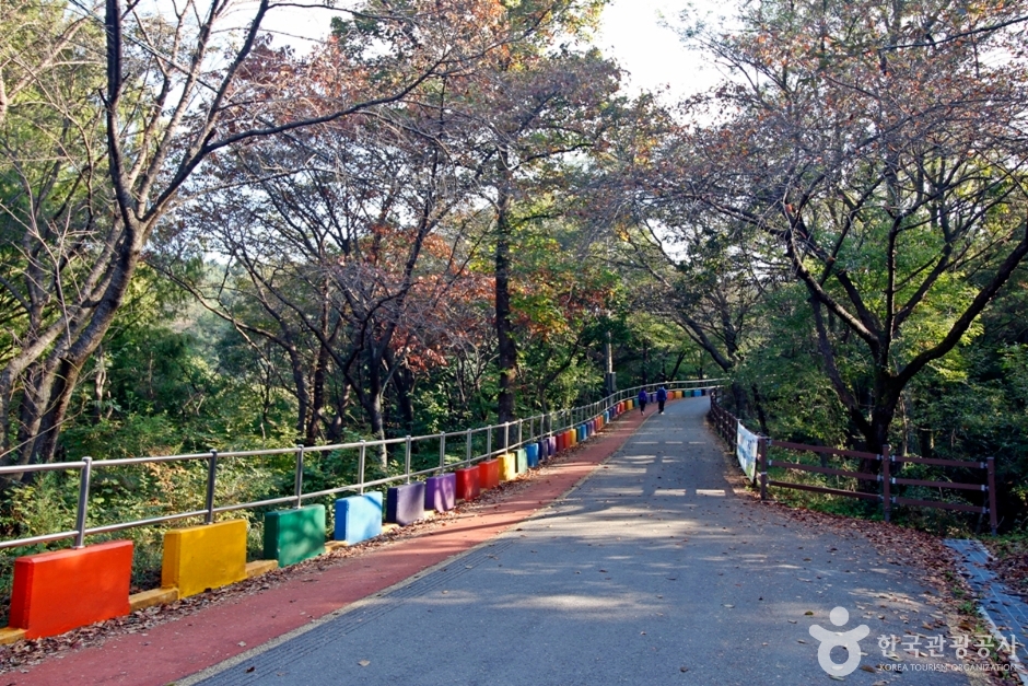 보문산 여행 추천 - 메고지고 보문산 여행 추천 - 메고지고