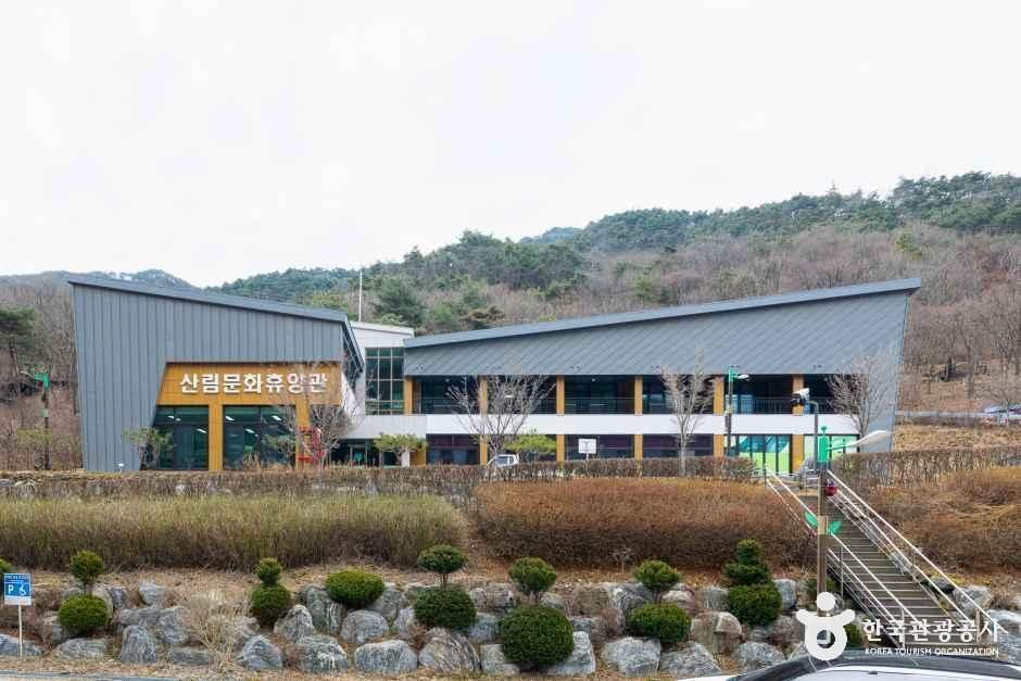 성불산자연휴양림 여행 추천 - 메고지고 성불산자연휴양림 여행 추천 - 메고지고