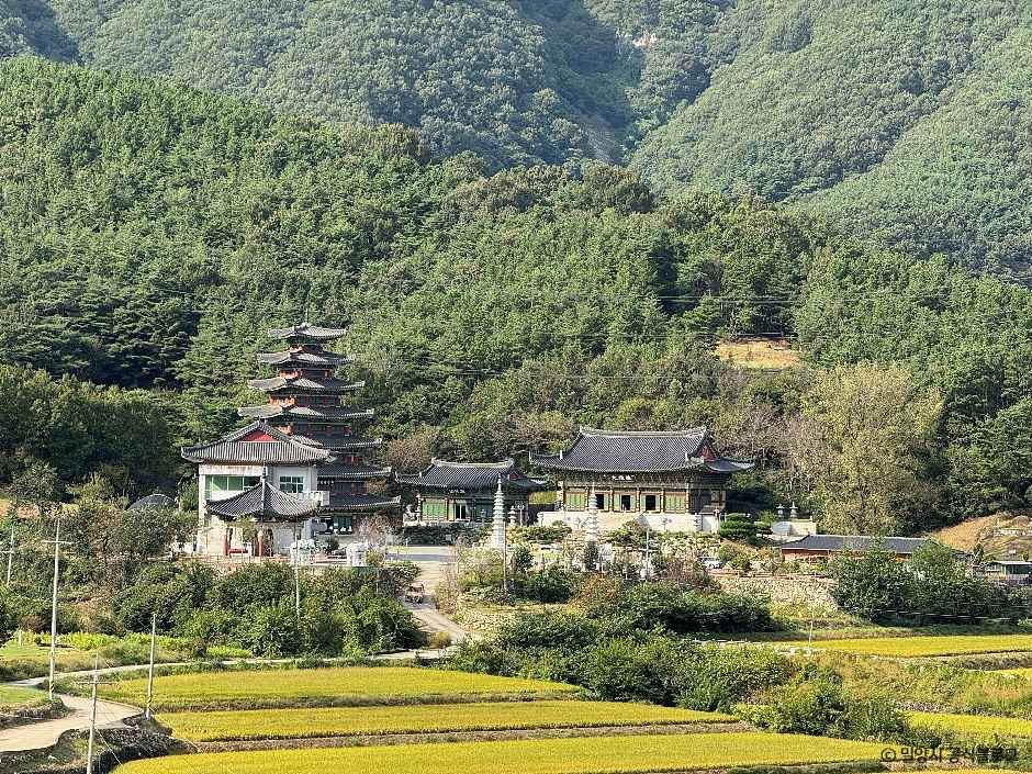 밀양 영산정사 여행 추천 - 메고지고 밀양 영산정사 여행 추천 - 메고지고