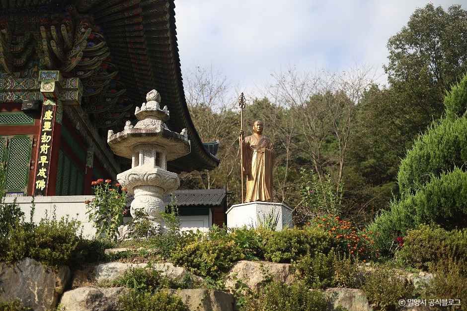밀양 영산정사 여행 추천 - 메고지고 밀양 영산정사 여행 추천 - 메고지고