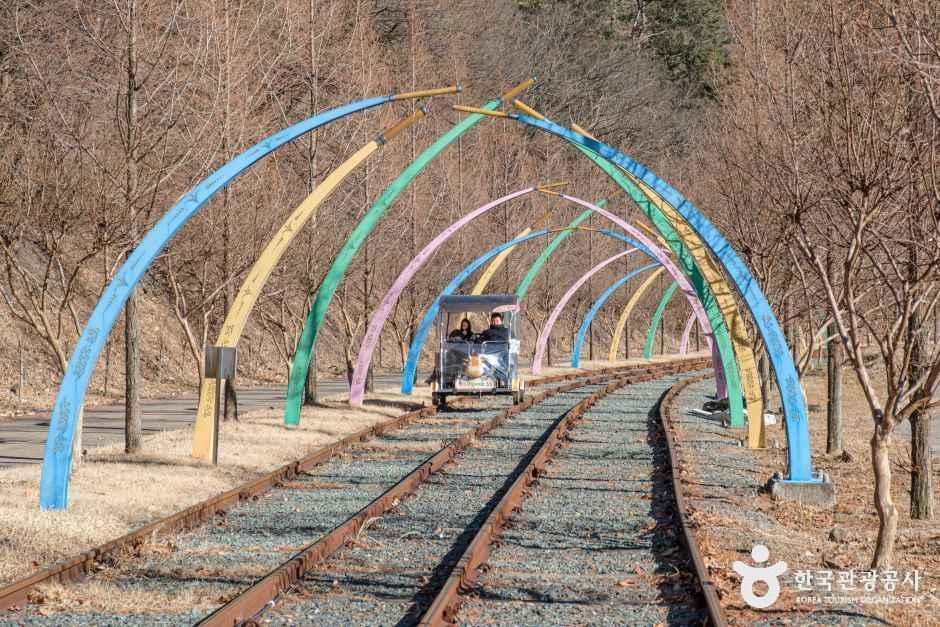 청도 레일바이크 여행 추천 - 메고지고 청도 레일바이크 여행 추천 - 메고지고