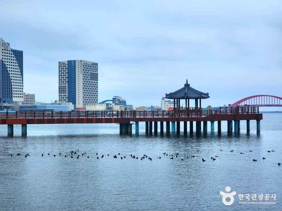 청초호 호수공원 여행 추천 - 메고지고 청초호 호수공원 여행 추천 - 메고지고