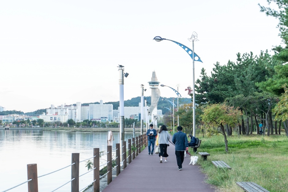 청초호 호수공원 여행 추천 - 메고지고 청초호 호수공원 여행 추천 - 메고지고