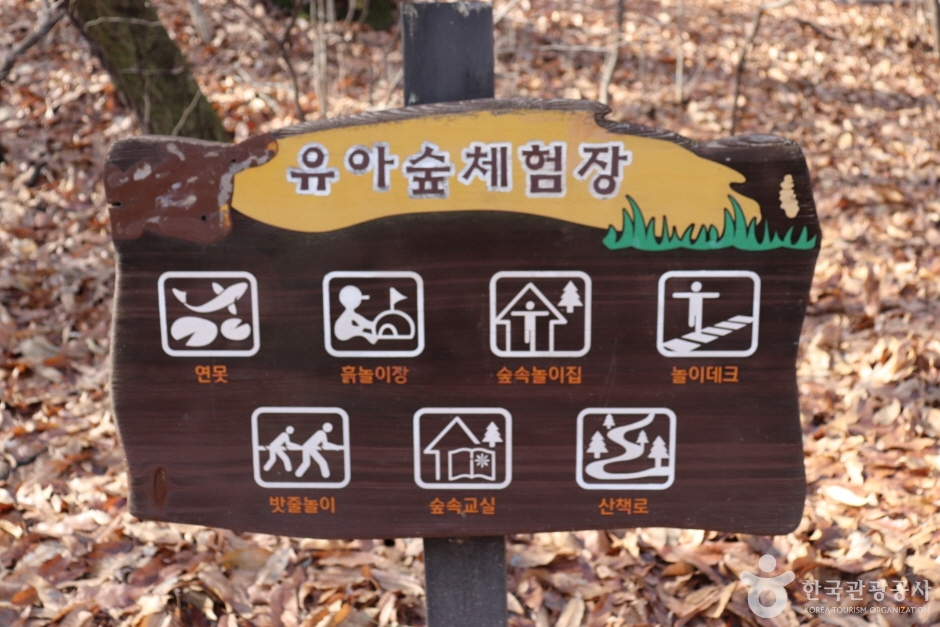 오동근린공원 유아숲체험장 여행 추천 - 메고지고 오동근린공원 유아숲체험장 여행 추천 - 메고지고