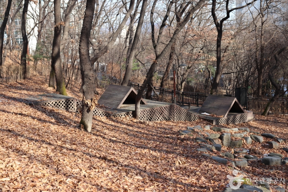 오동근린공원 유아숲체험장 여행 추천 - 메고지고 오동근린공원 유아숲체험장 여행 추천 - 메고지고
