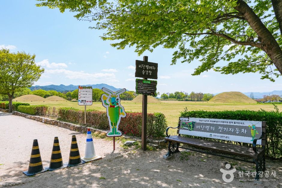 경주 비단벌레 전동차 여행 추천 - 메고지고 경주 비단벌레 전동차 여행 추천 - 메고지고