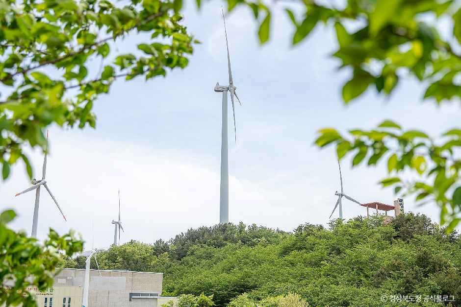 영덕풍력발전단지 여행 추천 - 메고지고