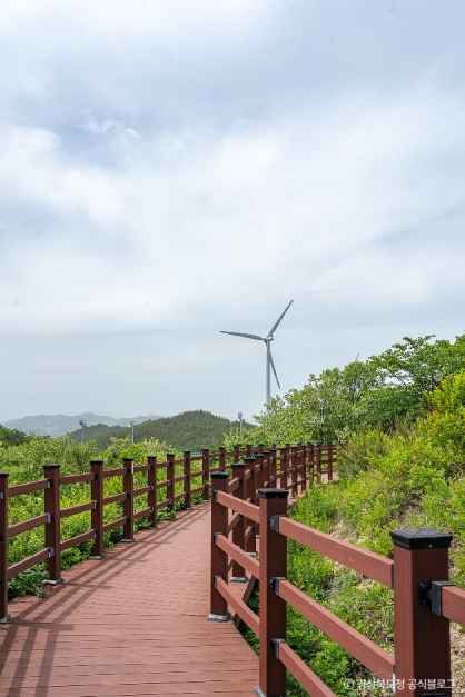 영덕풍력발전단지 여행 추천 - 메고지고