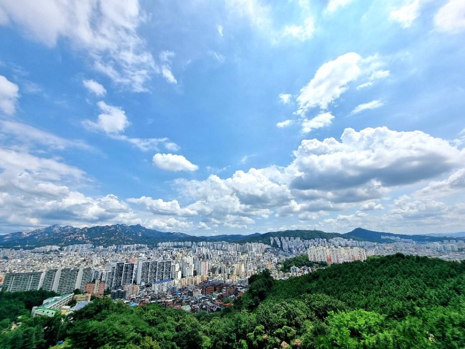 [서울둘레길 16코스] 봉산·앵봉산코스 여행 추천 - 메고지고