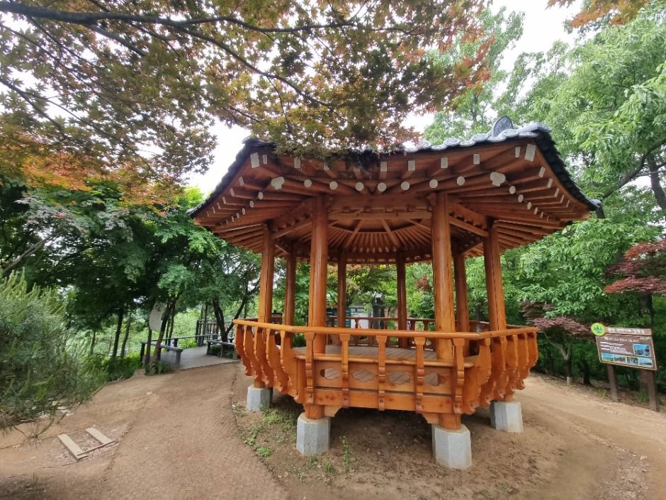 [서울둘레길 16코스] 봉산·앵봉산코스 여행 추천 - 메고지고