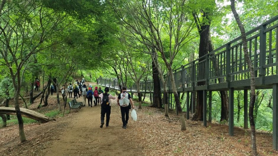 [서울둘레길 16코스] 봉산·앵봉산코스 여행 추천 - 메고지고