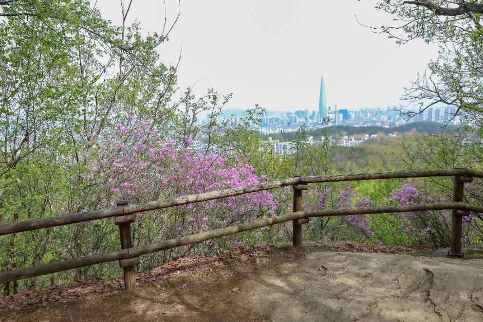 [서울둘레길 9코스] 대모·구룡산코스 여행 추천 - 메고지고