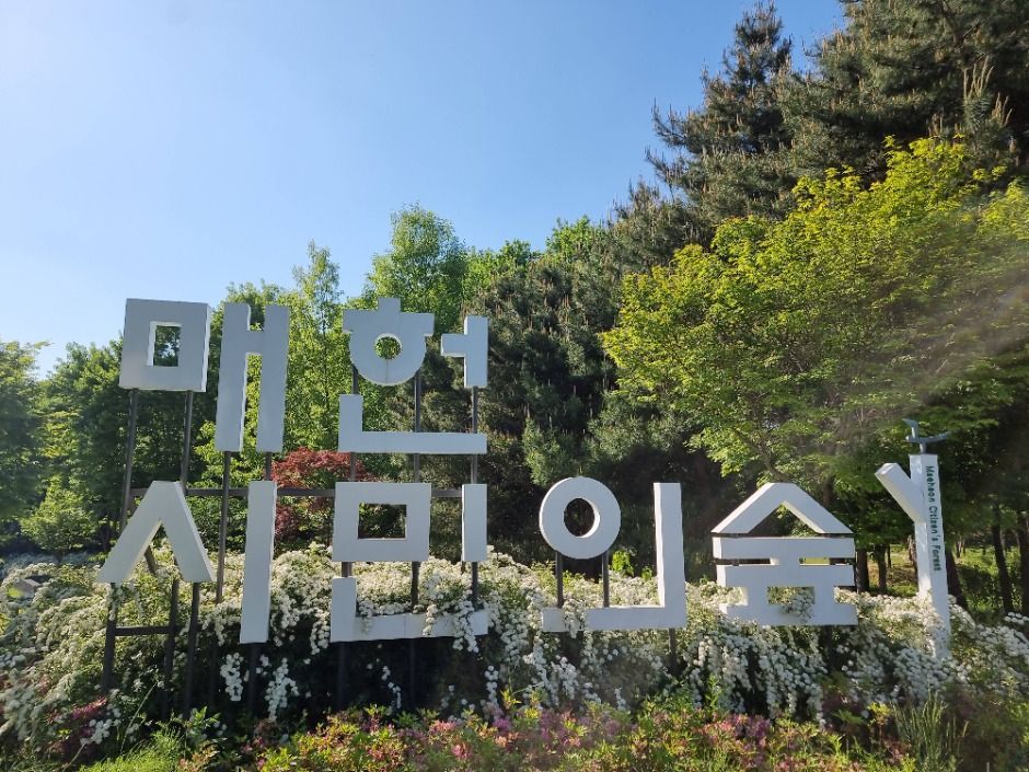 [서울둘레길 9코스] 대모·구룡산코스 여행 추천 - 메고지고