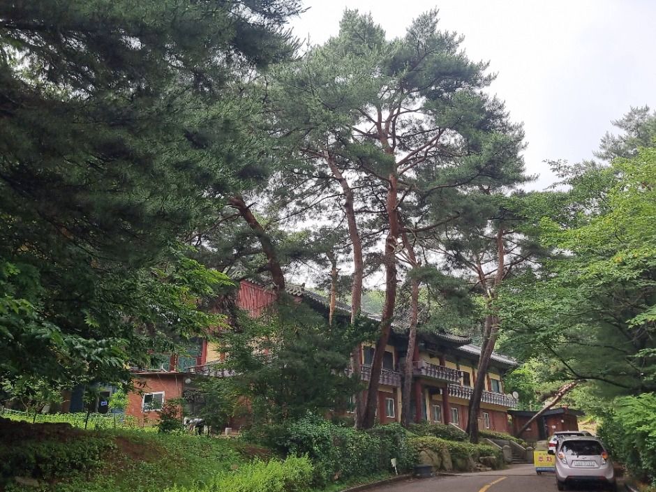 [서울둘레길 17코스] 북한산 은평코스 여행 추천 - 메고지고