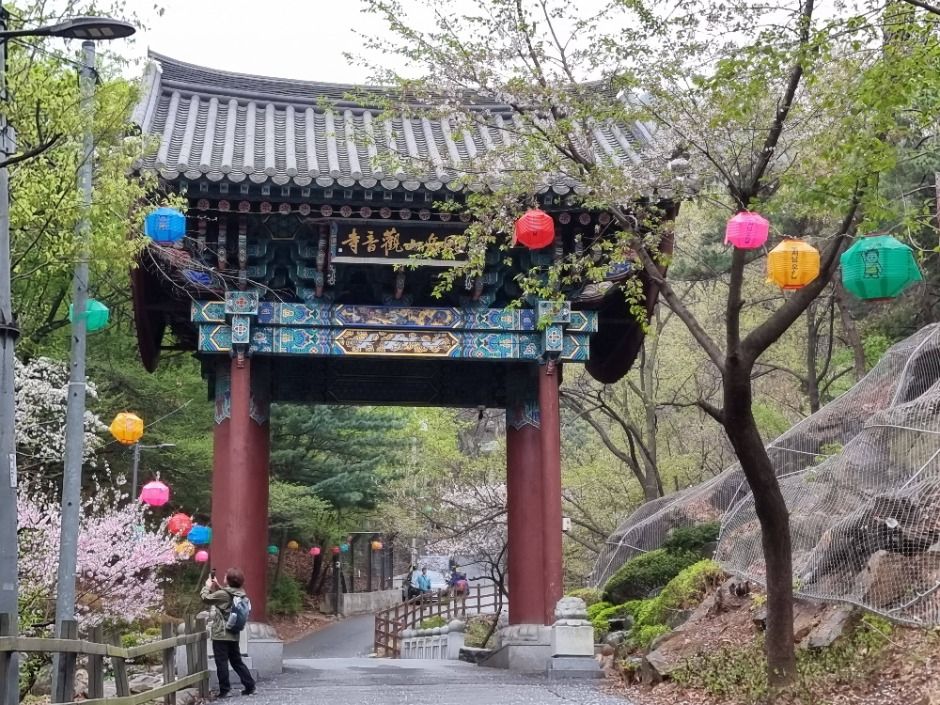 [서울둘레길 11코스] 관악산코스 여행 추천 - 메고지고