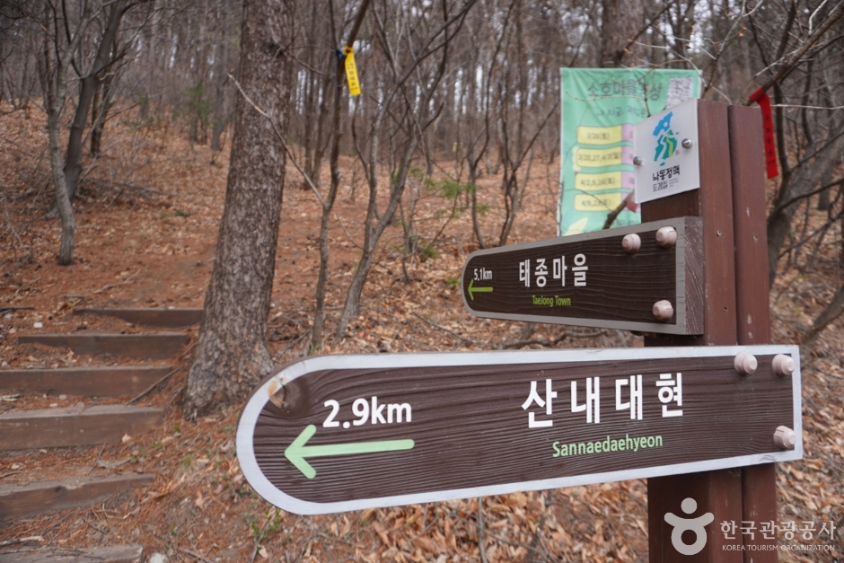 와항재 여행 추천 - 메고지고 와항재 여행 추천 - 메고지고