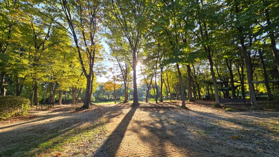 [서울둘레길 10코스] 우면산코스 여행 추천 - 메고지고