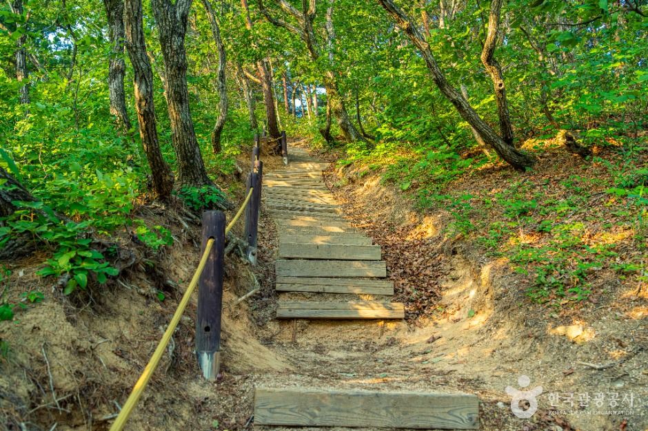 고성 금강산 여행 추천 - 메고지고