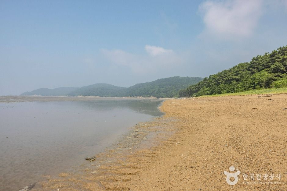 영뜰해변 여행 추천 - 메고지고 영뜰해변 여행 추천 - 메고지고