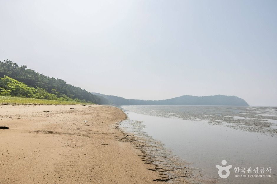 영뜰해변 여행 추천 - 메고지고 영뜰해변 여행 추천 - 메고지고