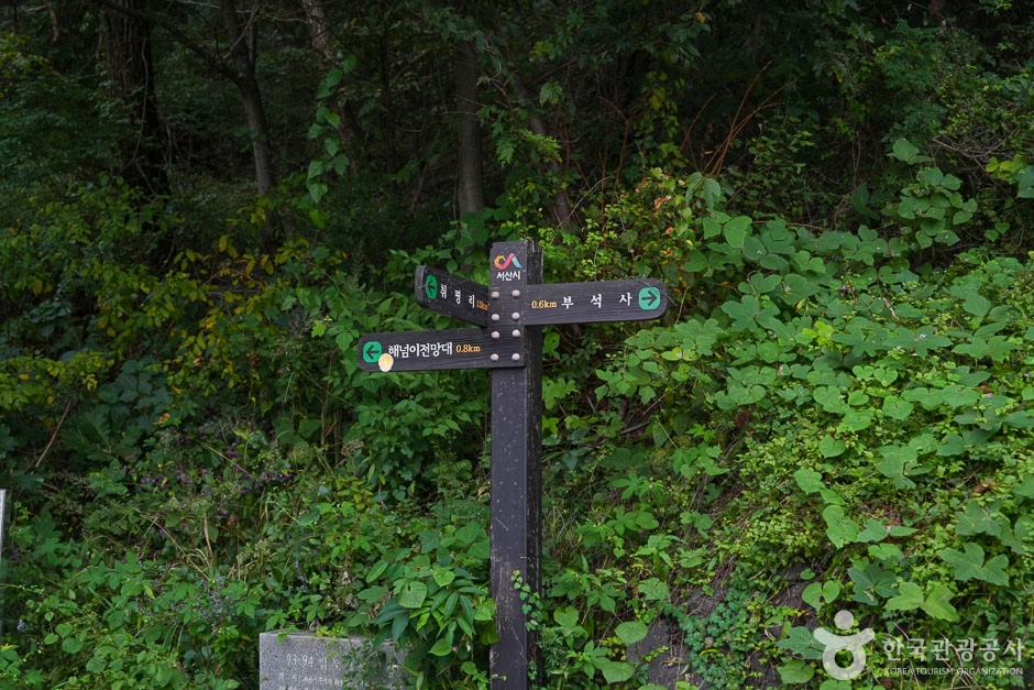 [서산 아라메길] 도비 마루길 여행 추천 - 메고지고