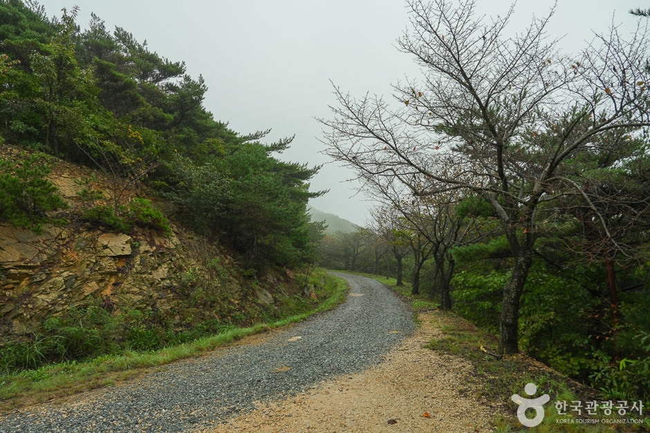 [서산 아라메길] 삼길 나루길 여행 추천 - 메고지고