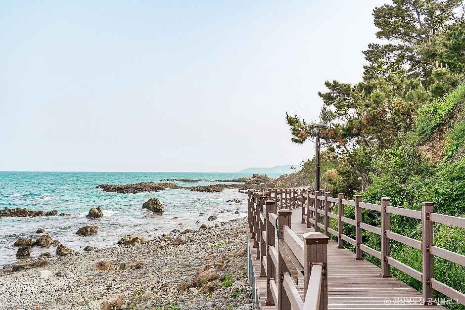 경주 양남 주상절리군 여행 추천 - 메고지고 경주 양남 주상절리군 여행 추천 - 메고지고