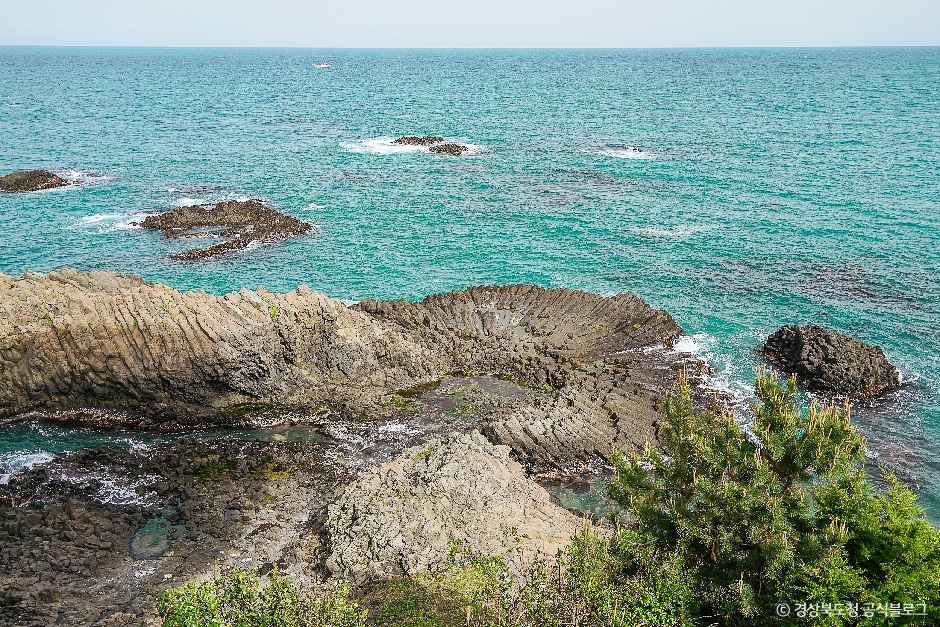 경주 양남 주상절리군 여행 추천 - 메고지고 경주 양남 주상절리군 여행 추천 - 메고지고