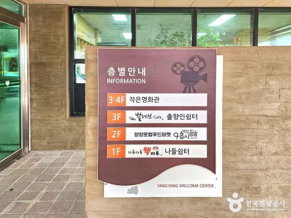 양양 작은영화관 여행 추천 - 메고지고 양양 작은영화관 여행 추천 - 메고지고