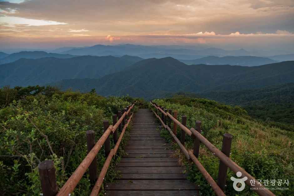 향적봉(덕유산) 여행 추천 - 메고지고 향적봉(덕유산) 여행 추천 - 메고지고