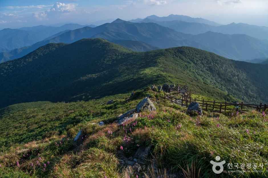 향적봉(덕유산) 여행 추천 - 메고지고 향적봉(덕유산) 여행 추천 - 메고지고