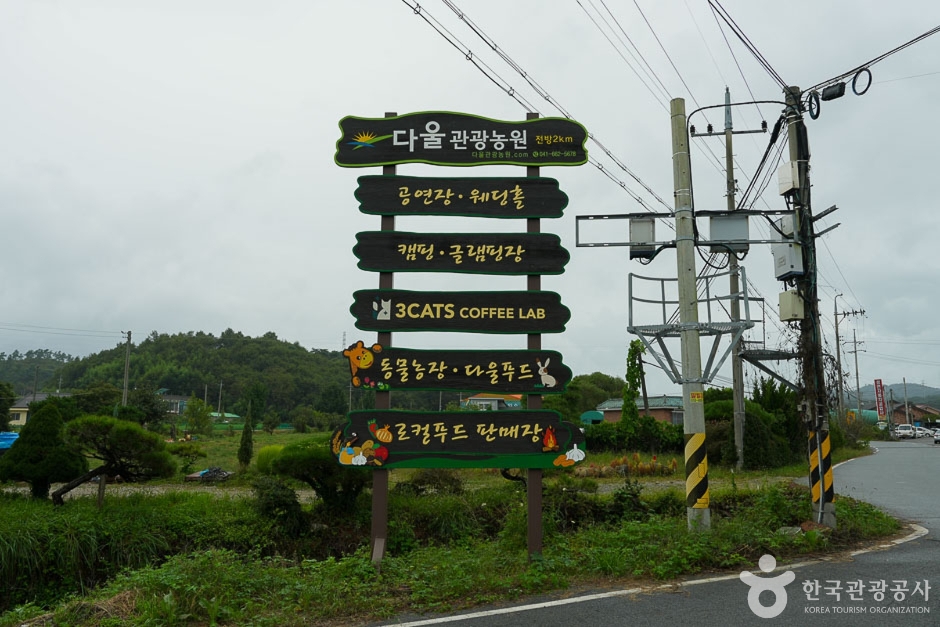 다울관광농원 여행 추천 - 메고지고 다울관광농원 여행 추천 - 메고지고