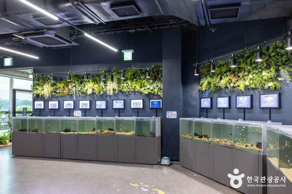 충북아쿠아리움 여행 추천 - 메고지고