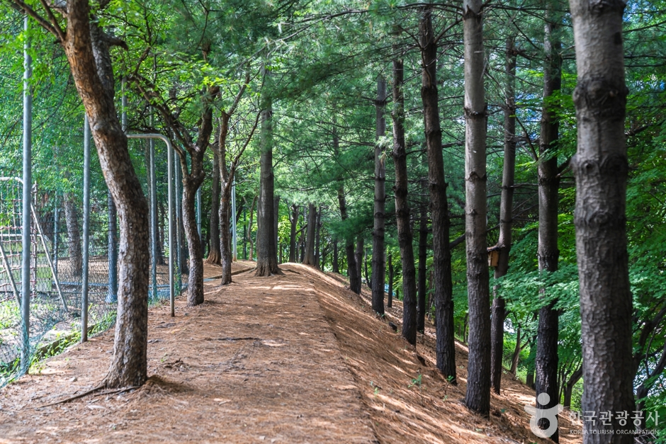 성정공원 여행 추천 - 메고지고 성정공원 여행 추천 - 메고지고