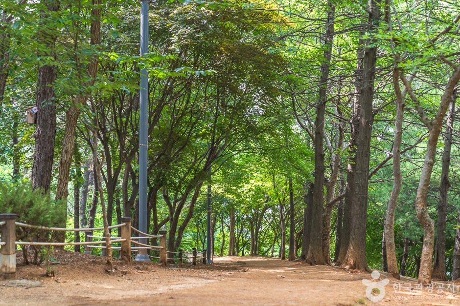 성정공원 여행 추천 - 메고지고 성정공원 여행 추천 - 메고지고
