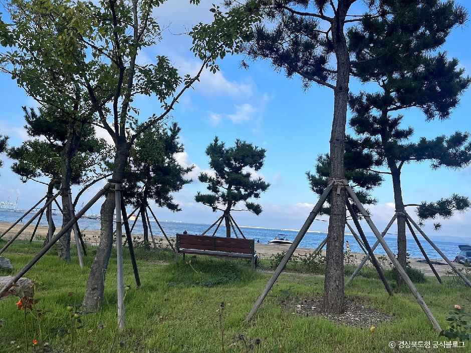 죽천해수욕장 여행 추천 - 메고지고 죽천해수욕장 여행 추천 - 메고지고