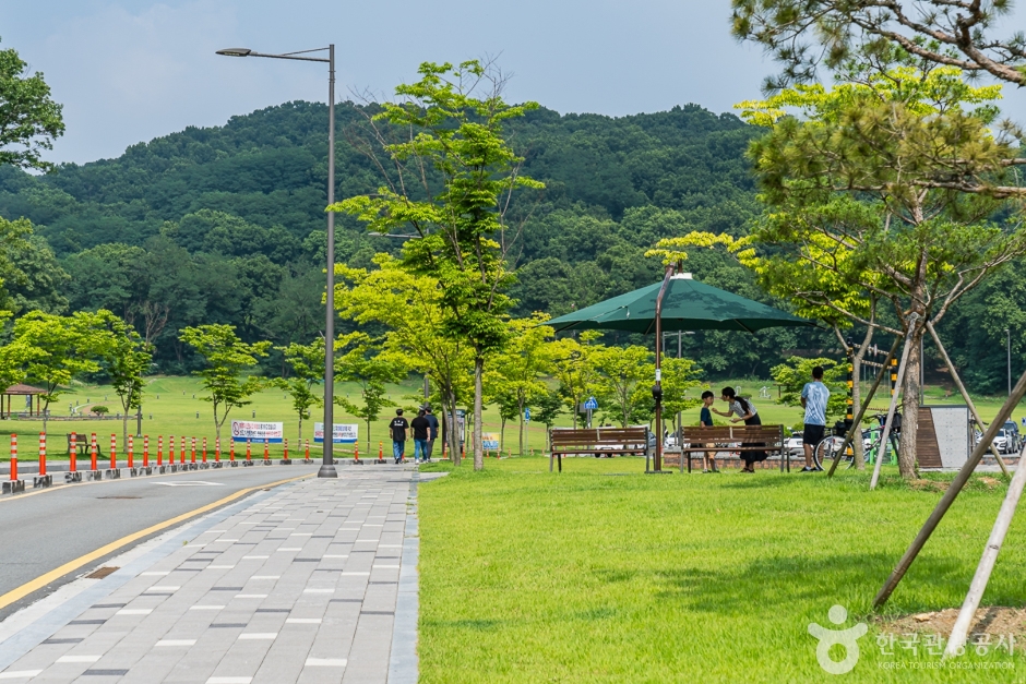 천안시민체육공원 여행 추천 - 메고지고 천안시민체육공원 여행 추천 - 메고지고