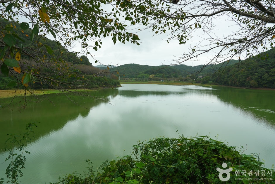 고남 저수지 여행 추천 - 메고지고 고남 저수지 여행 추천 - 메고지고