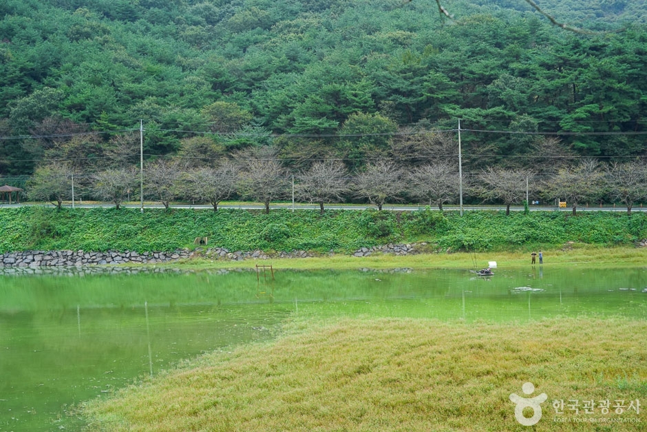 고남 저수지 여행 추천 - 메고지고 고남 저수지 여행 추천 - 메고지고