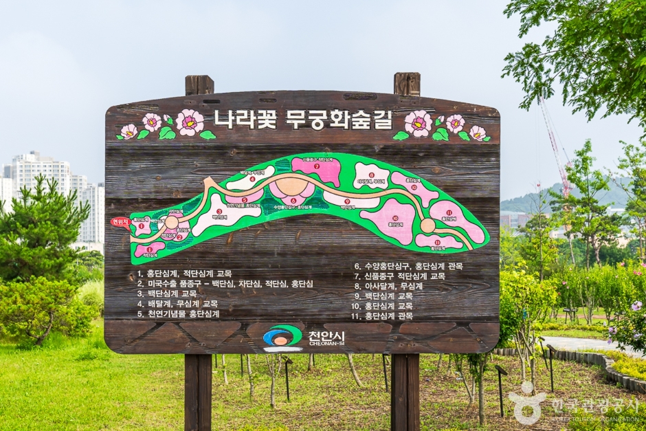 도솔광장 여행 추천 - 메고지고