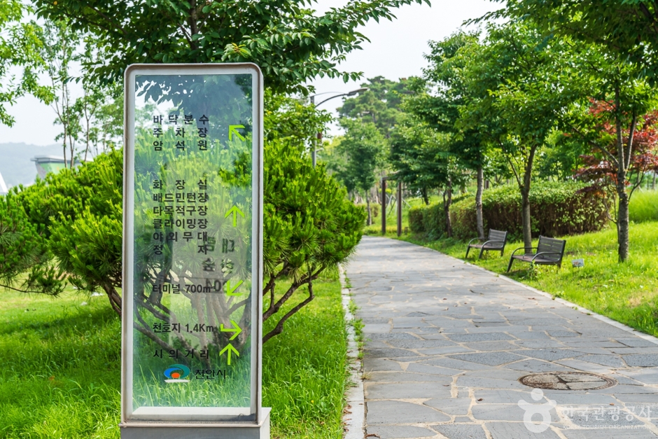 도솔광장 여행 추천 - 메고지고