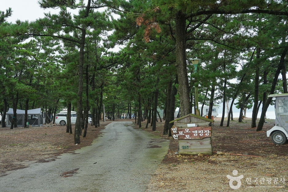 벌천포오토캠핑장 여행 추천 - 메고지고 벌천포오토캠핑장 여행 추천 - 메고지고
