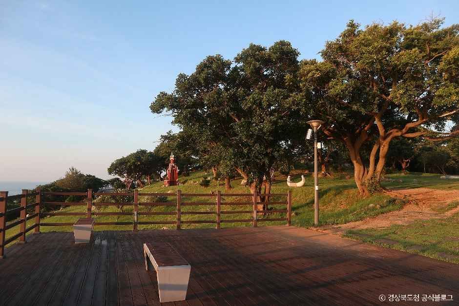 등기산공원 여행 추천 - 메고지고 등기산공원 여행 추천 - 메고지고